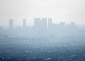 Jak poradzić sobie ze smogiem w mieszkaniu