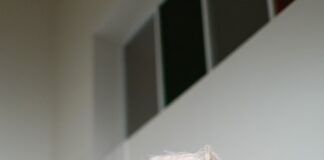 kosmetyki true men skin care