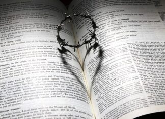 Co jest droższe licówka czy korona?