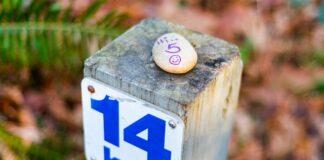 Jak przebiec 5 km w 20 minut?