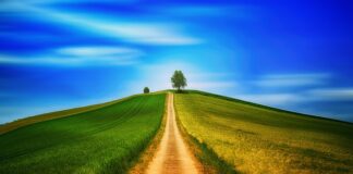 Jakie korzyści daje chodzenie z kijkami?