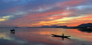 Jak łowić gdy dno jest zarośnięte?