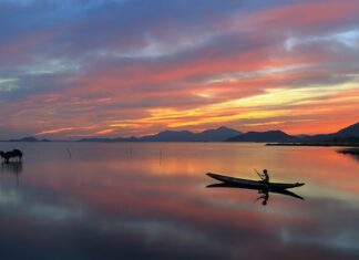 Jak łowić gdy dno jest zarośnięte?