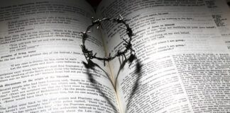 Ile kosztuje korona zęba 2023?