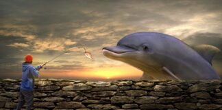 Dlaczego żyłka się skręca?