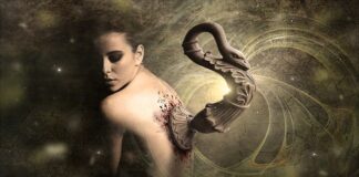 Co lepsze implant czy korona?