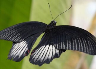 Jak się łowi na grunt?