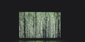 Jaką długość nart przy wzroście 180 cm?