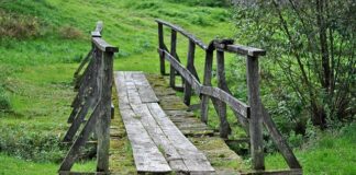 Ile kosztuje mostek na jeden ząb?