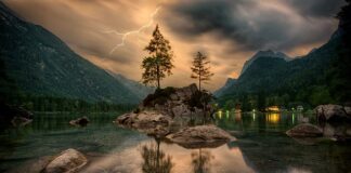 Jaka bolonka na jezioro?