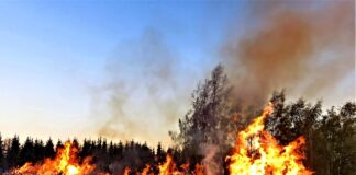 Co zrobić żeby nie było zagięć na butach?