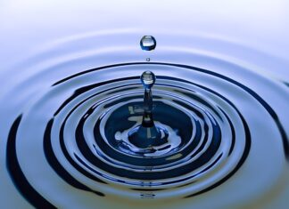 Jakie kółko do Concha?