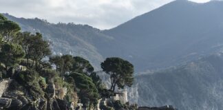 Ile kosztuje kurs piercingu?