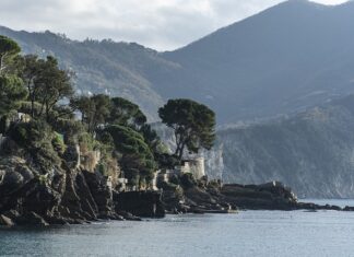 Ile kosztuje kurs piercingu?