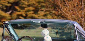 Co Miś Fuzzy miał na głowie? Co Miś Fuzzy miał na głowie?