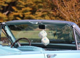 Co Miś Fuzzy miał na głowie?