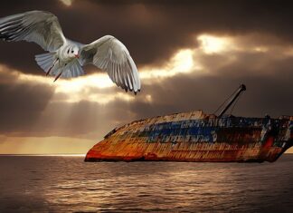 Czym się różni frak od garnituru?