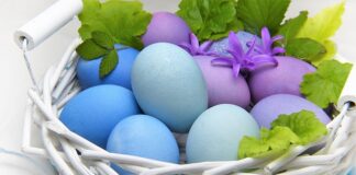 Jak udekorować talerz z jedzeniem?