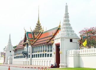 Jak ładnie ułożyć danie na talerzu?